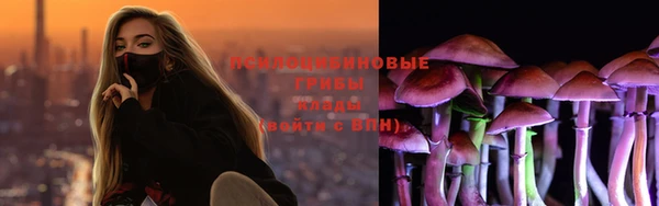 мет Аркадак