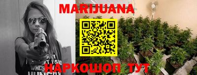 сатива Пушкино