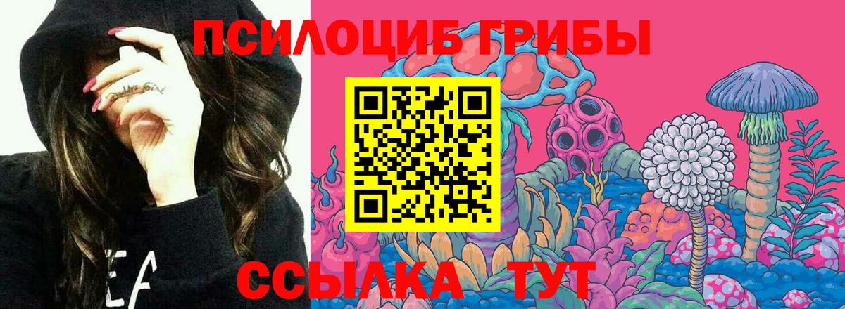 Галлюциногенные грибы Psilocybine cubensis  Псилоцибиновые грибы Psilocybe  Вход с VPN  Фролово 